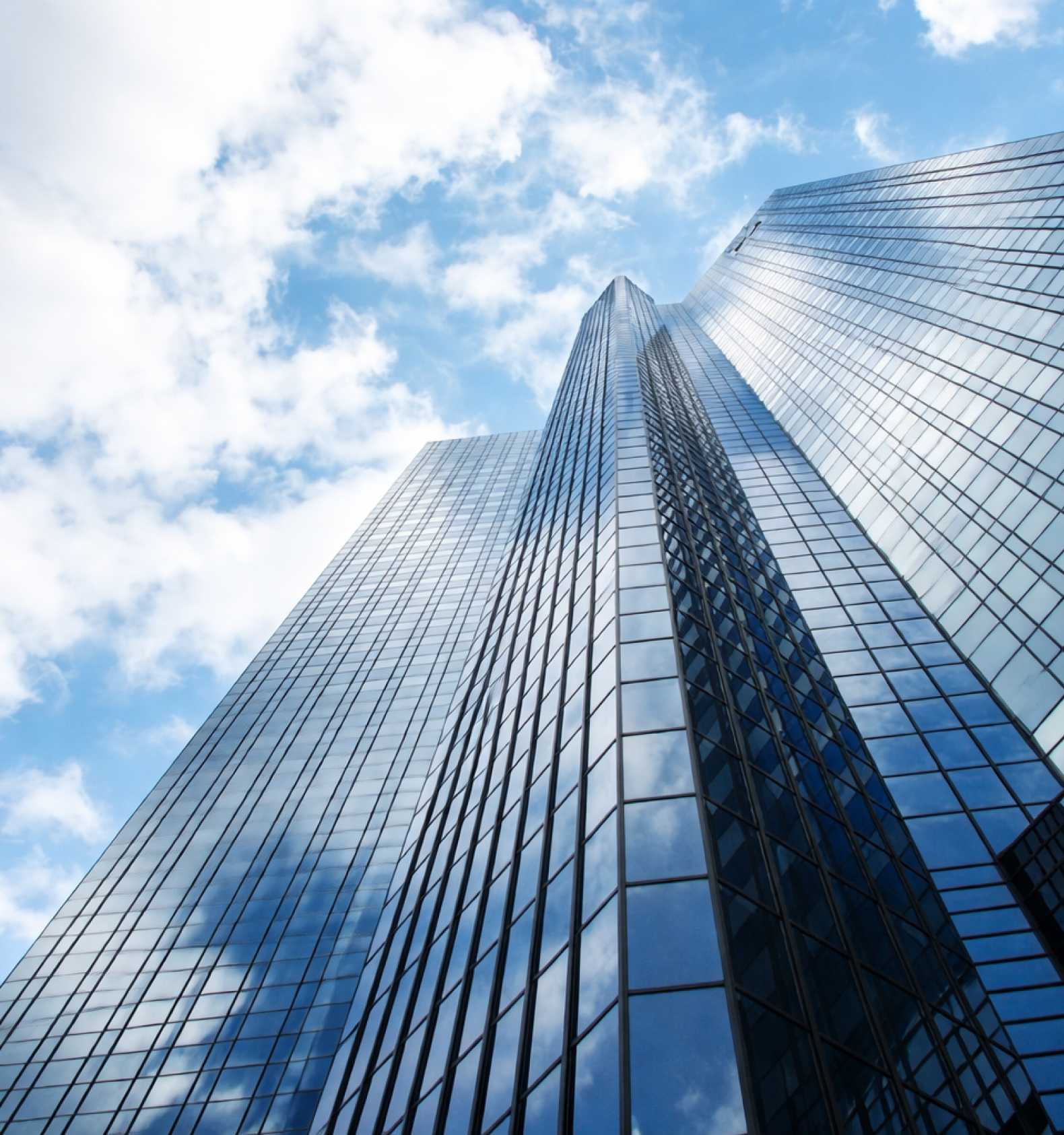 Dubai Free Zone business setup overview